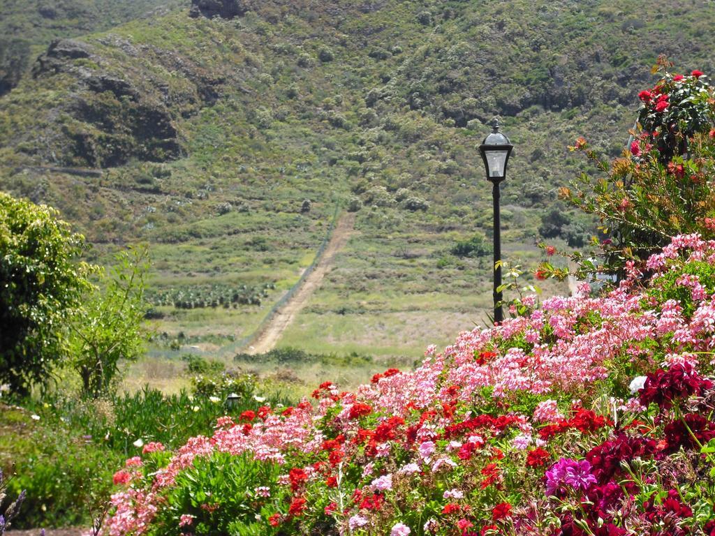 Finca El Picacho Apartments In The Countryside 2 Km From The Beach Техина Номер фото