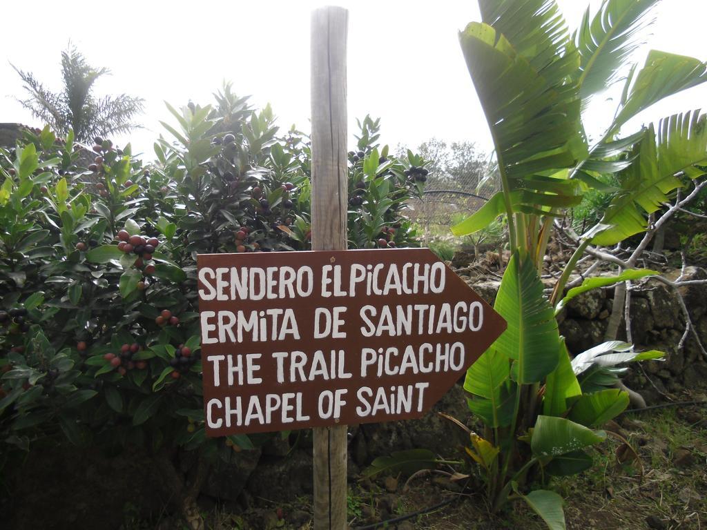 Finca El Picacho Apartments In The Countryside 2 Km From The Beach Техина Номер фото