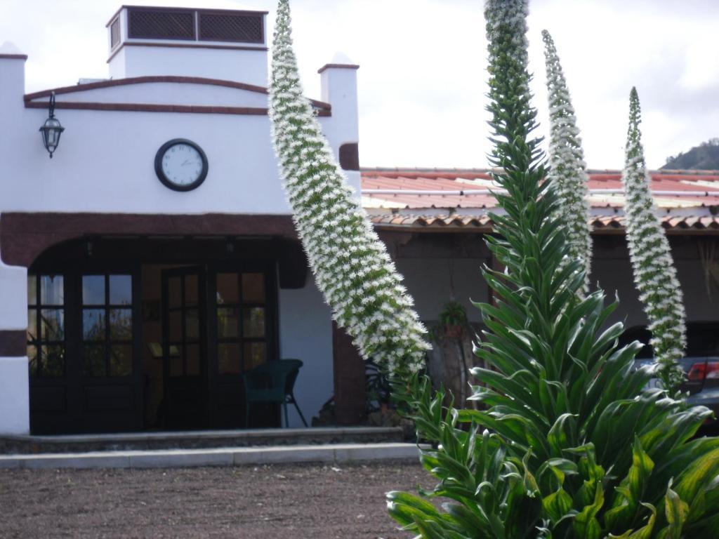 Finca El Picacho Apartments In The Countryside 2 Km From The Beach Техина Экстерьер фото