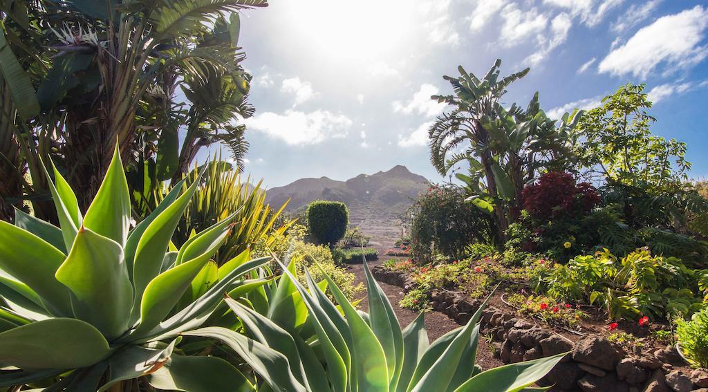 Finca El Picacho Apartments In The Countryside 2 Km From The Beach Техина Номер фото